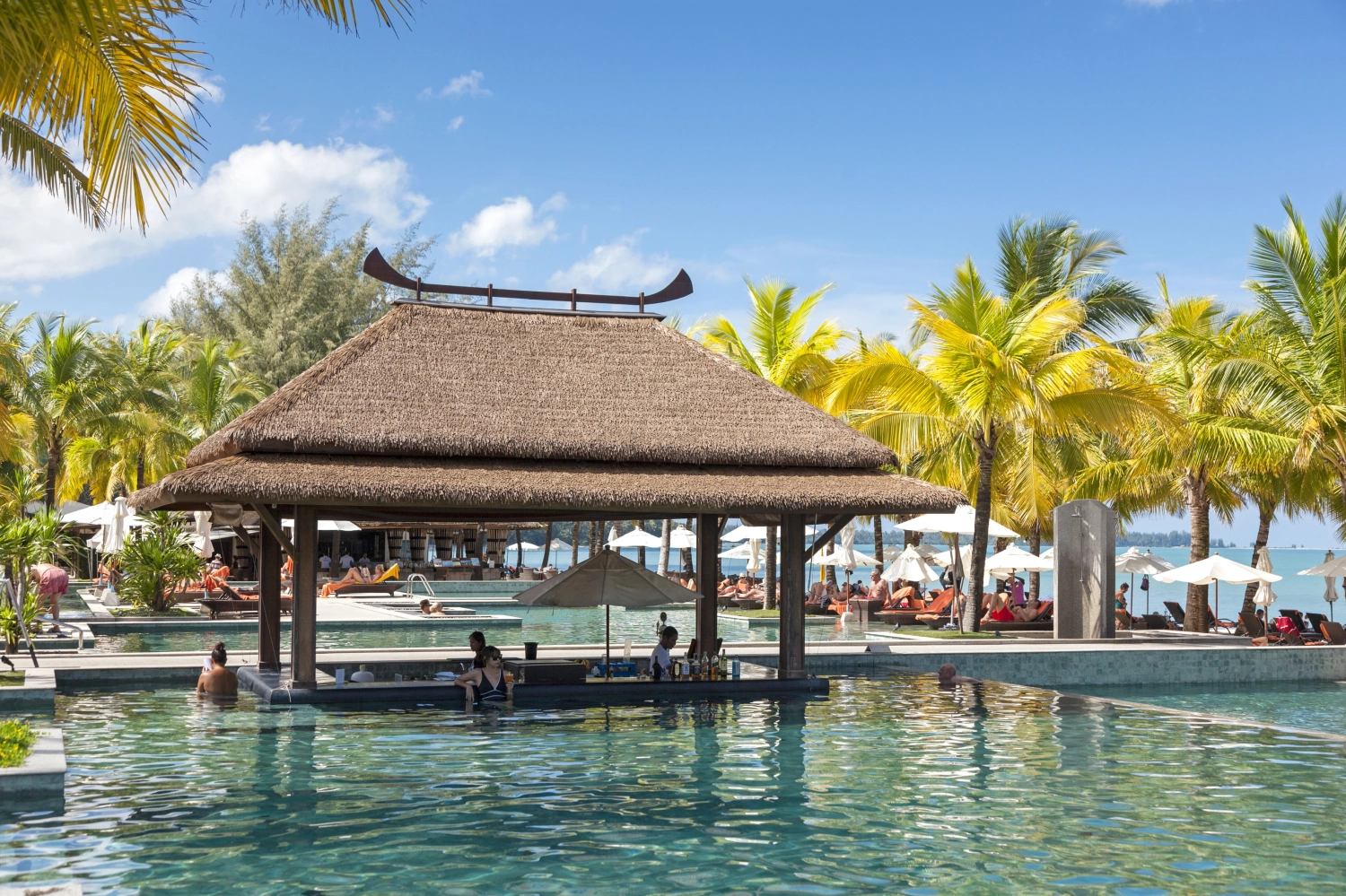 Pool & Bar